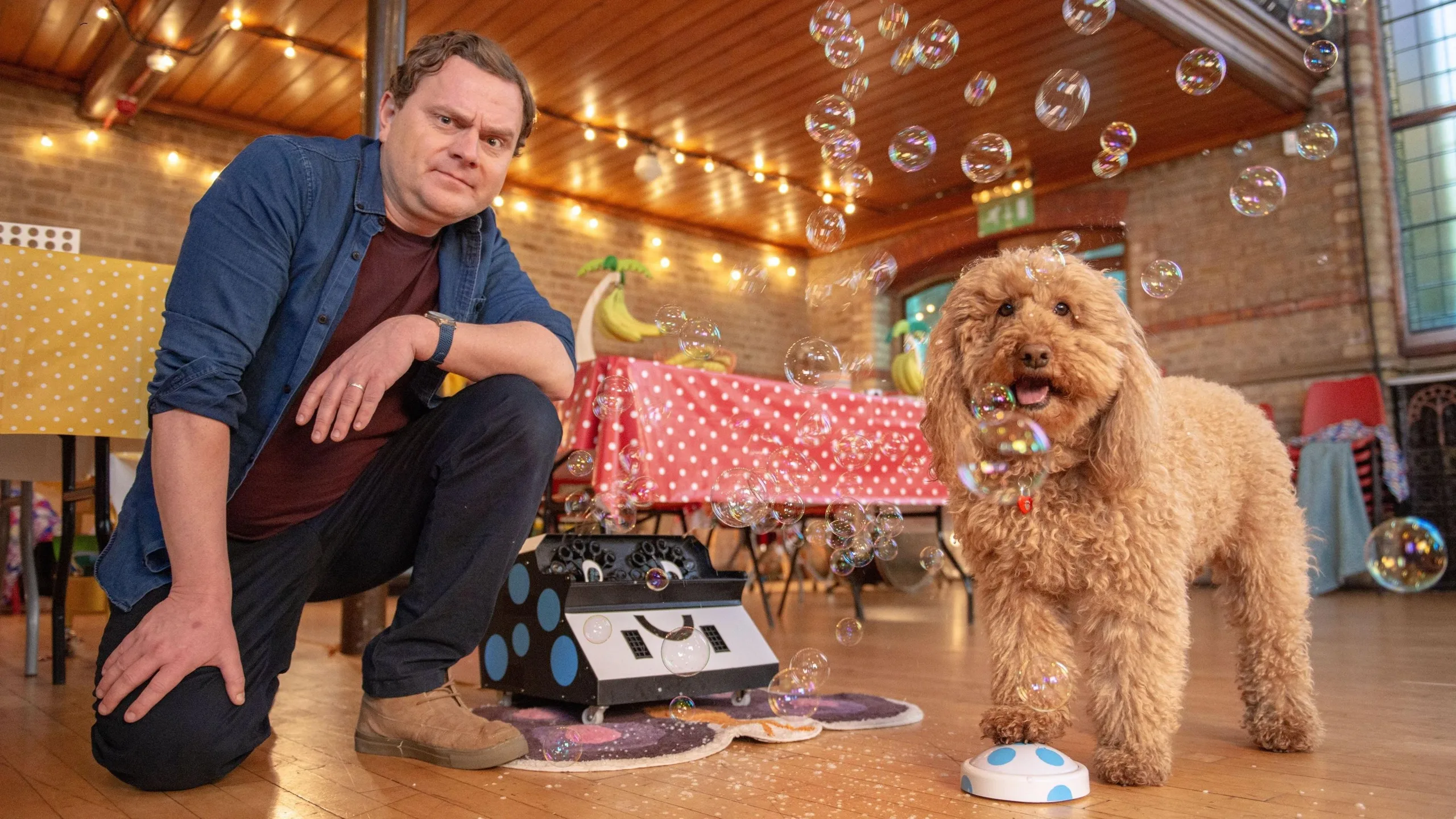 James / Simon and Waffle the Wonder Dog