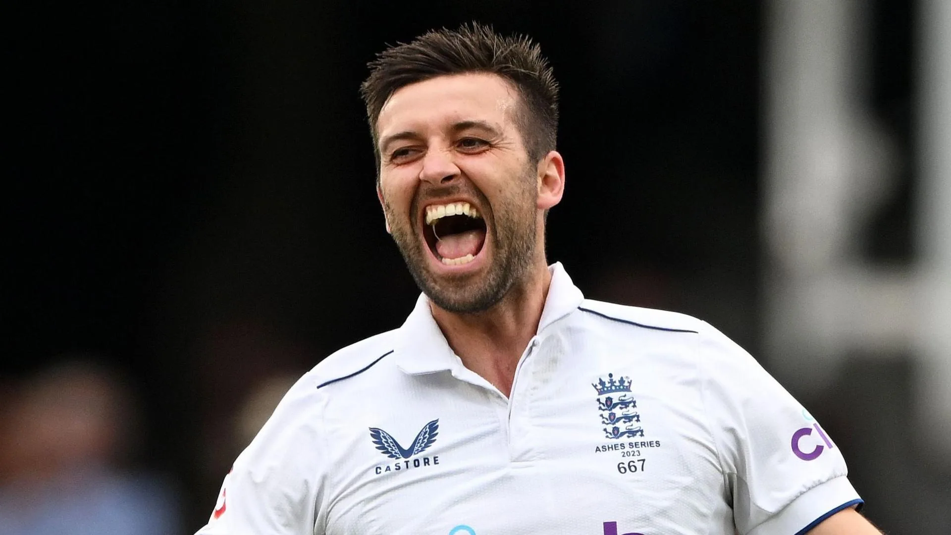 Mark Wood celebrates wicket