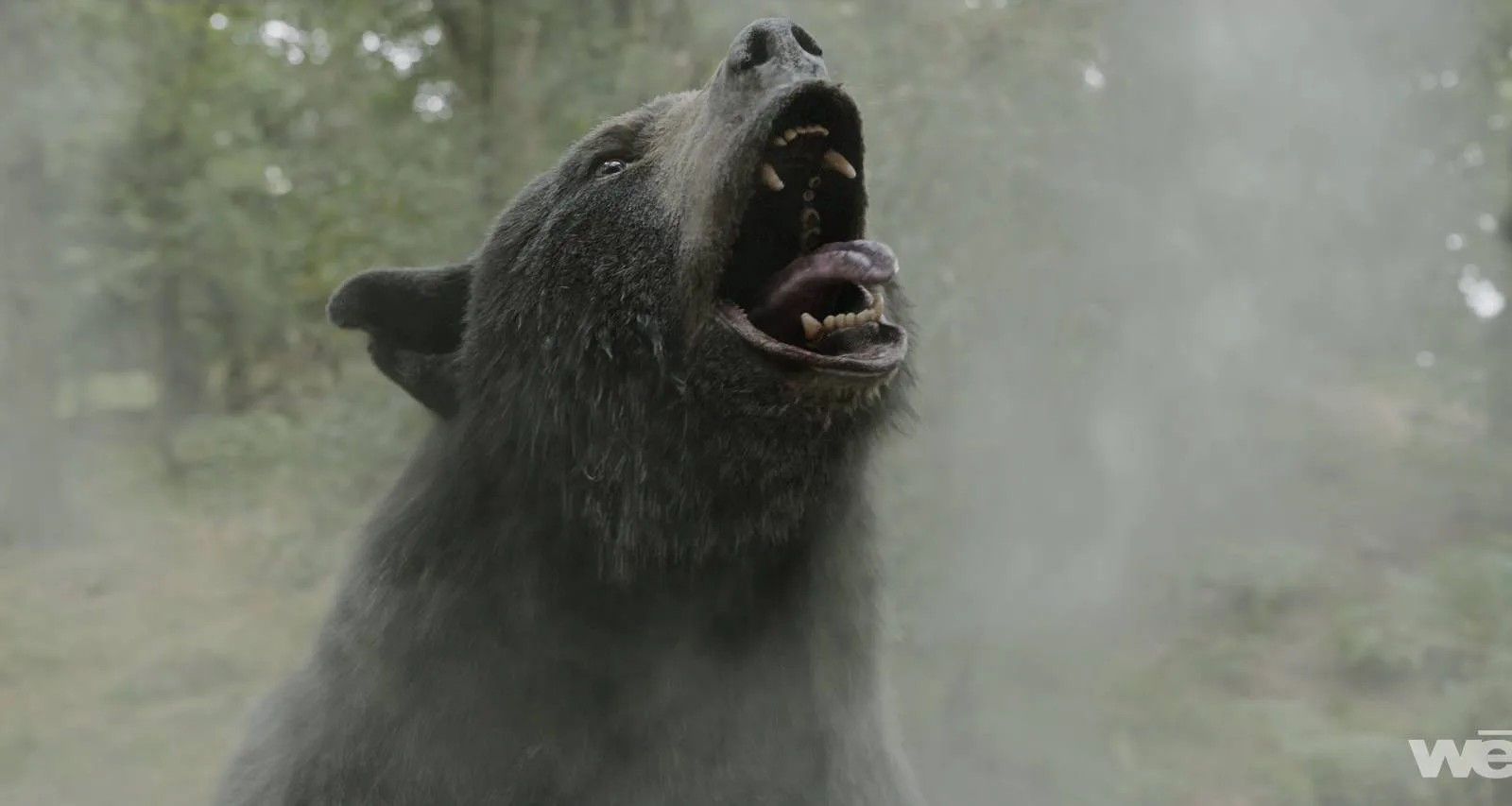 Elizabeth Banks’ 95-Minute R-Rated Horror Hit Officially Climbs Streaming Charts