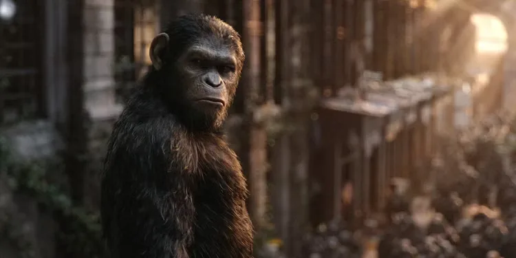 An Ape named Caesar voiced by Andy Serkis looking back at the end of Dawn of the Planet of the Apes
