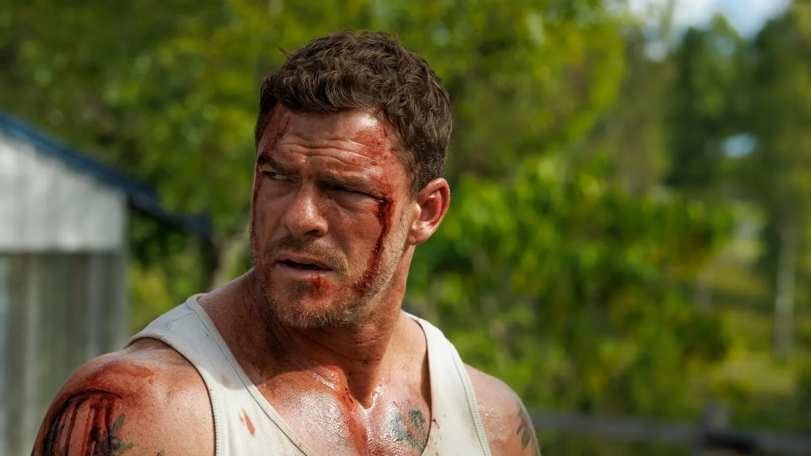 Alan Ritchson’s New Action Movie Smashes Competition in Digital Debut