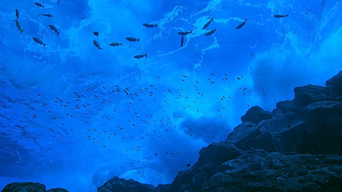 The Salas y Gómez ridge off the coast of Chile. 