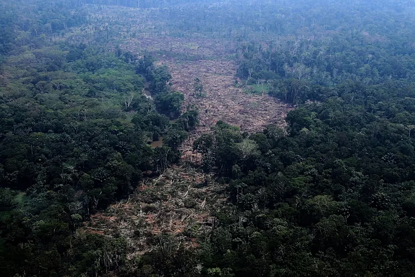 Trees lie in a deforested area of the Amazon rainforest in the municipality of Autazes, Amazonas state, Brazil, Oct. 15, 2026. (AP Photo/Edmar Barros)