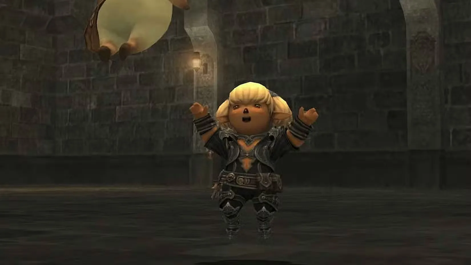 A Tarutaru in Final Fantasy 11 cheers