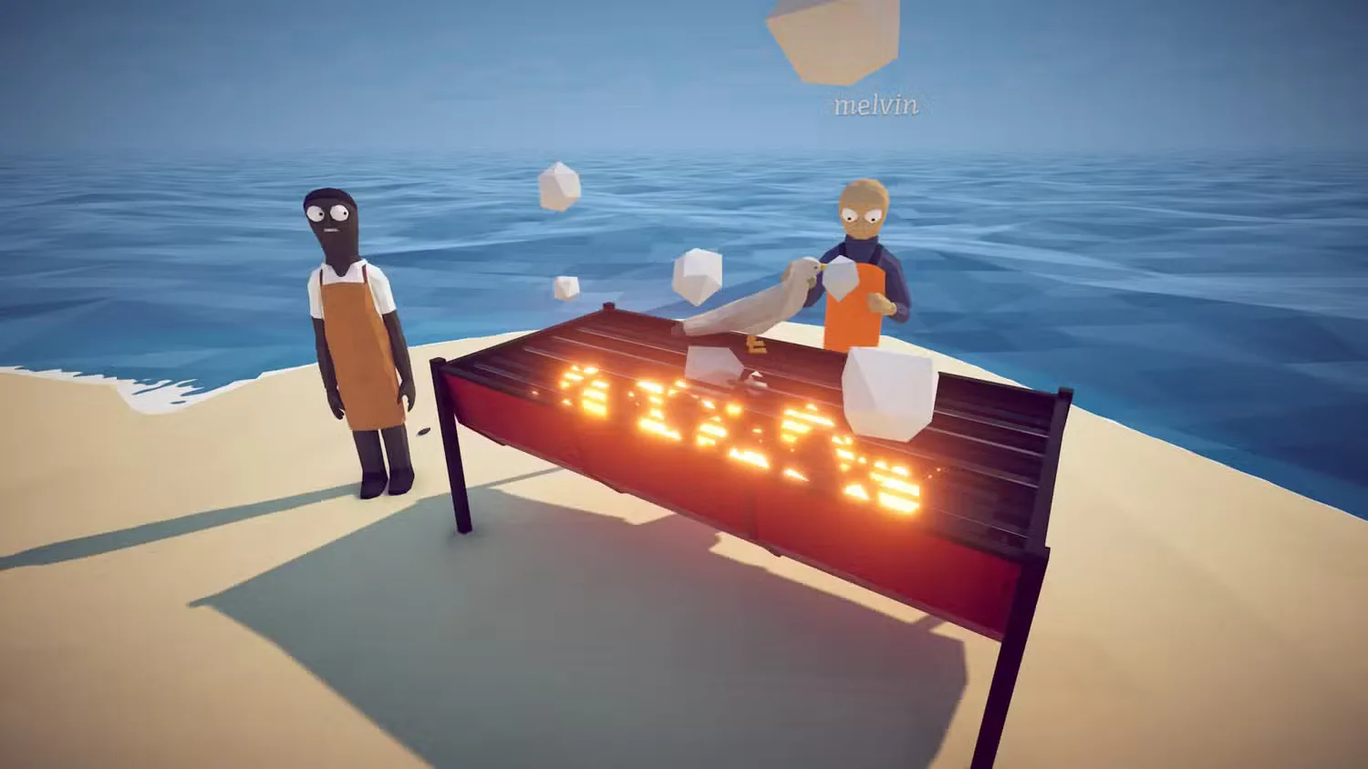 cooking a seagull on the barbecue in how to fish