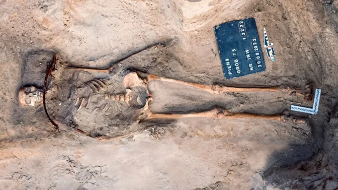 An overview photo of the buried skeleton and sickle
