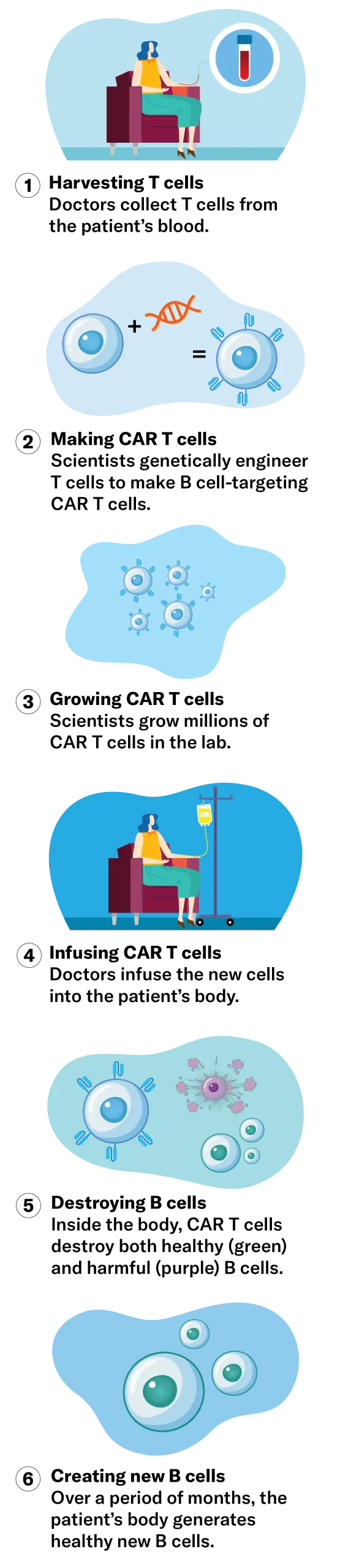 A graphic showing the process of CAR T therapy