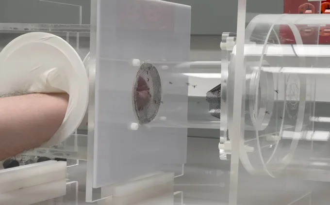 An arm is held through an circular opening inside a clear acrylic box. On the side of the box, a separate opening with mesh netting connects an adjacent box with multiple mosquitos inside. 