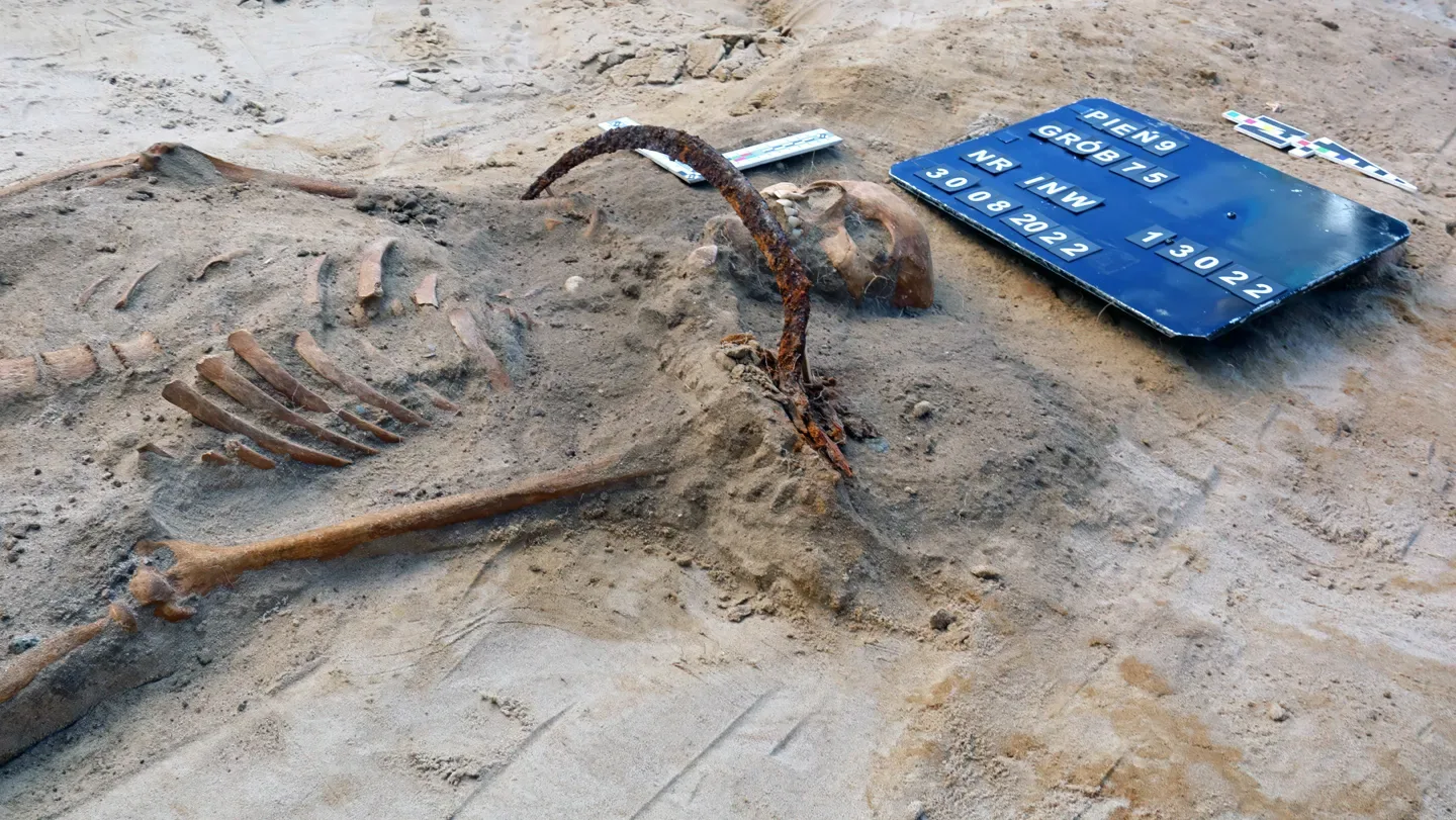 A picture of a partially buried skeleton with a sickle positioned over where the skeleton's throat would be