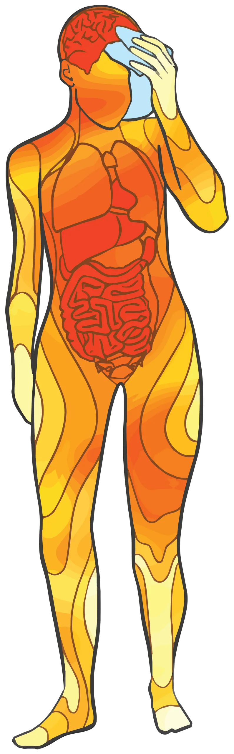 Red and orange colored line-drawing of a human with internal organs exposed. The human holds a damp cloth to his head to cool down.