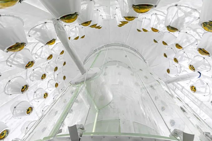The interior of the LZ particle detector shows a large translucent tank with gold photomultiplier tubes surrounding it.