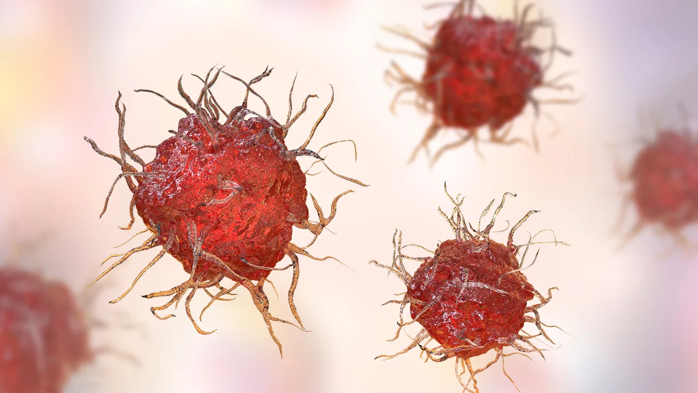 Lumpy red spheres with twig-like protusions illustrate what dendrictic cells look like.