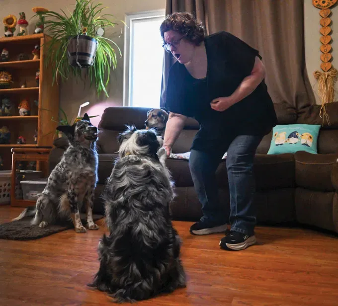 A person with short, curly brown hair and glasses bends down to interact with three dogs in a living room. Two dogs sit on the wooden floor while a third rests on the couch behind them.