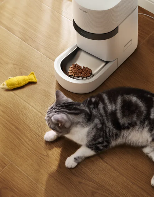 Petlibro’s new AI-powered feeder is a game changer for multi-cat homes