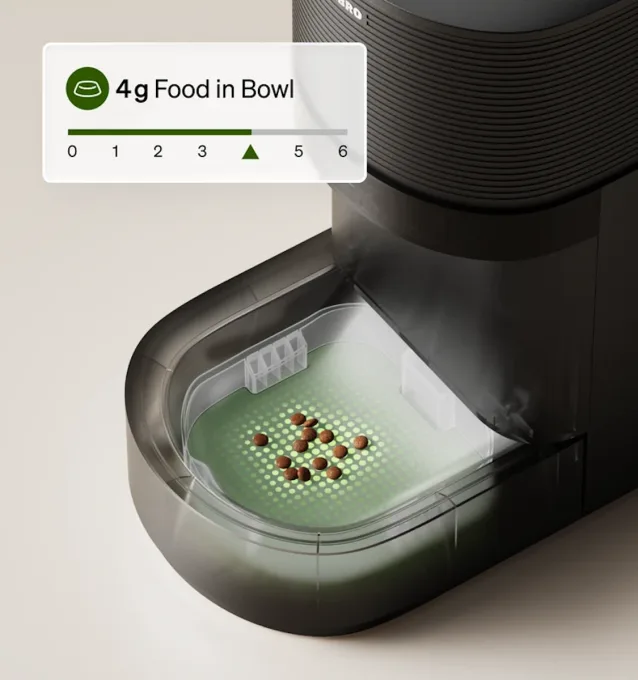 Petlibro’s new AI-powered feeder is a game changer for multi-cat homes